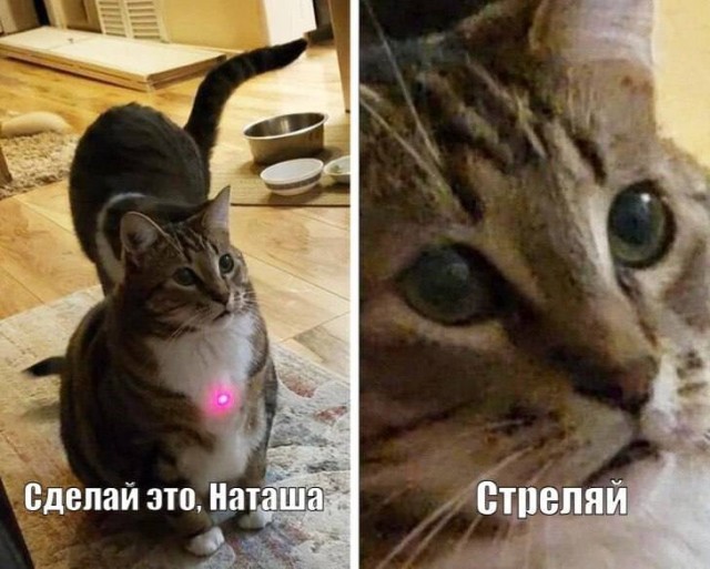 Воскресные картинки