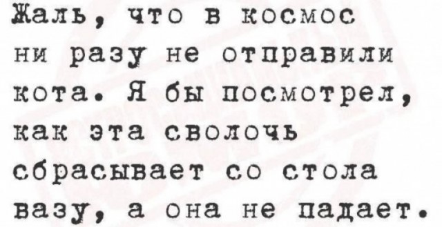 Когда сразу пять звёзд.