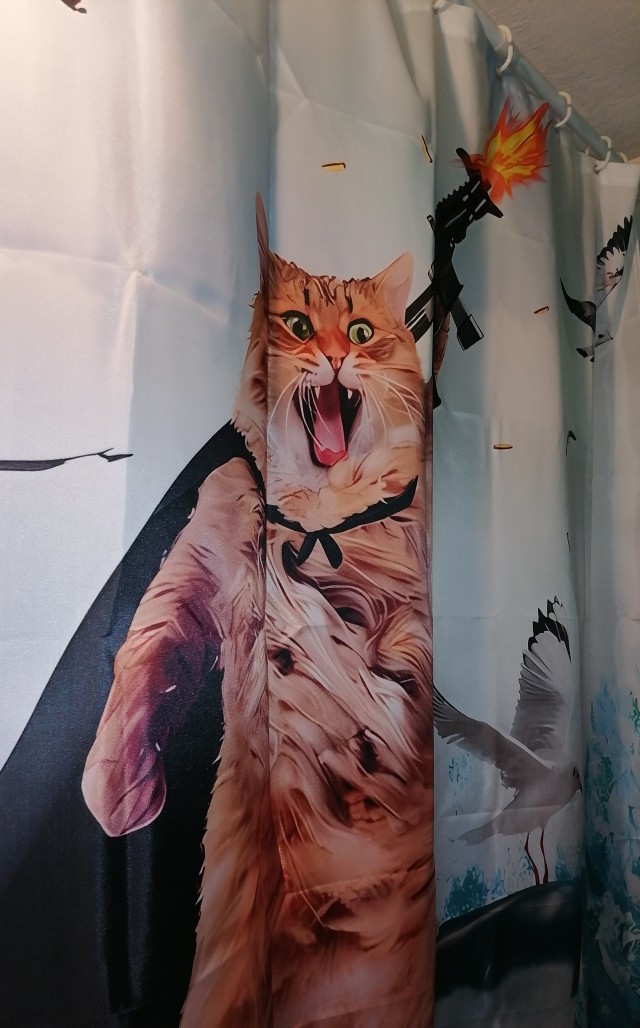 Я сделал это