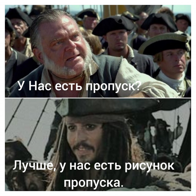 Грибников обяжут получать «пропуск» в лес через «Госуслуги»