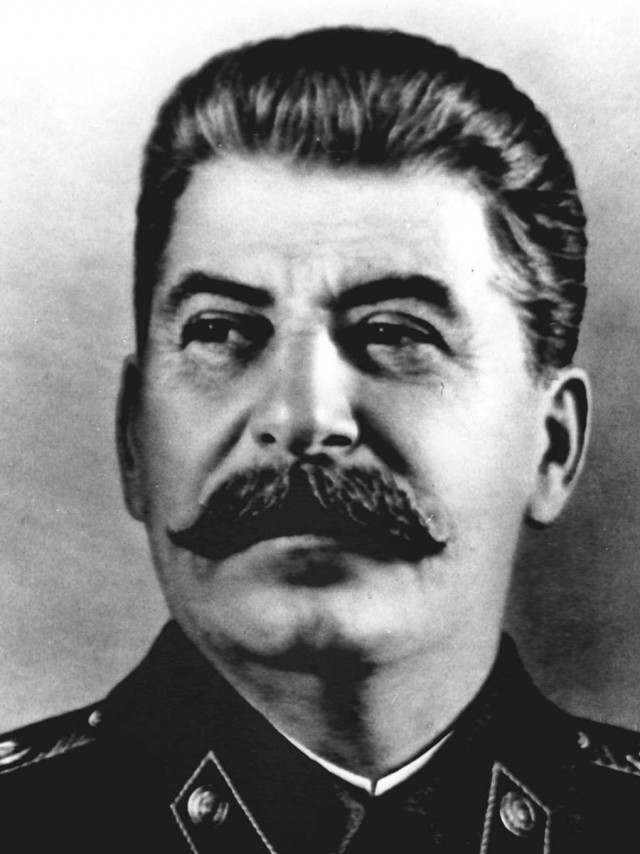 Дадим котику имя, коллеги?