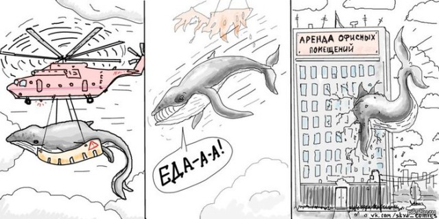 Капля морской воды под микроскопом...