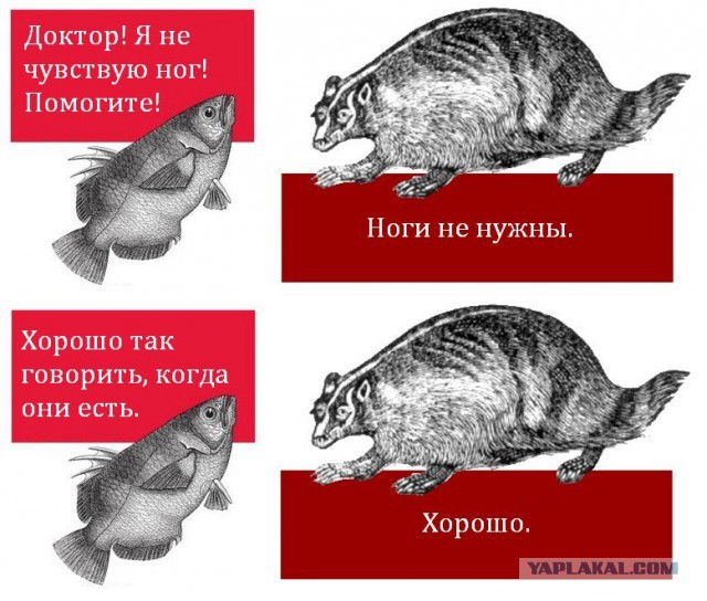 Смешные комментарии из социальных сетей #2