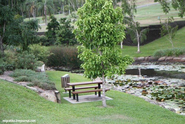 Австралийский подход или "Чтоб я так жил!.."