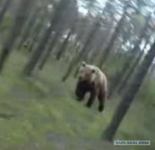 Какая встреча!