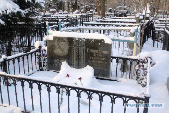 Ваганьково. 25 января 2015 года.