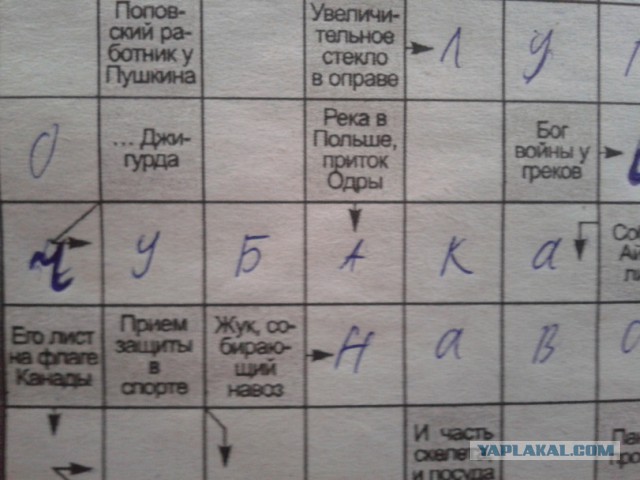 Бабуля разгадывала кроссворд