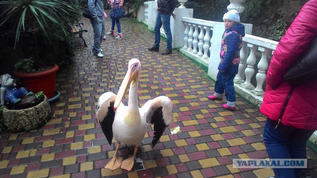 Алушта Крым Октябрь 2015