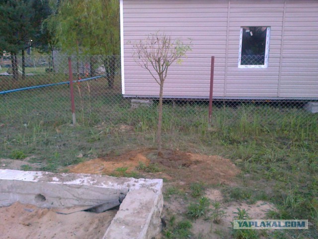 Очередная история строительства.