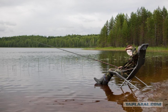 Две недели впечатлений.