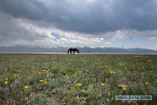 Фотографии из самых разных уголков планеты которые захватывают дух.