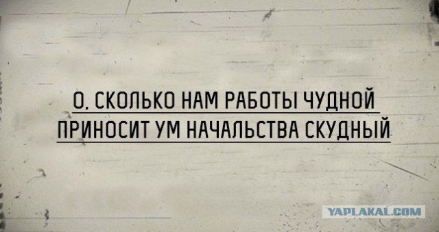 Смешные комментарии из социальных сетей 10.02.2017