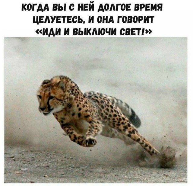 Подборка разного из сети