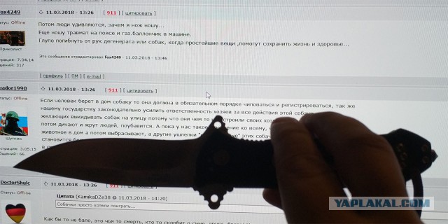 В Подмосковье собаки насмерть загрызли 19-летнего молодого человека