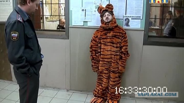 Кудрин сравнил новое правительство с готовящимся к прыжку тигром‍