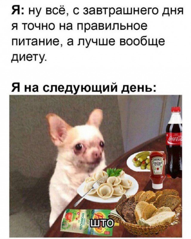 Немного картинок для настроения 11.10.19