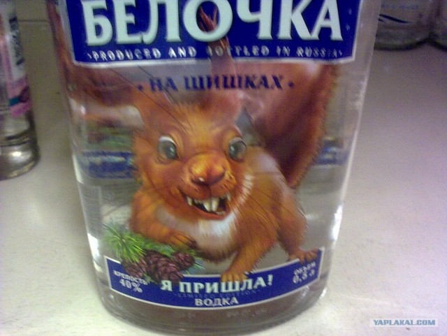 Модная и мечтательная