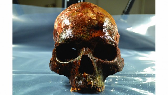 Учёные нашли останки мужчины, жившего 8000 лет назад на территории Швеции, и восстановили его внешность