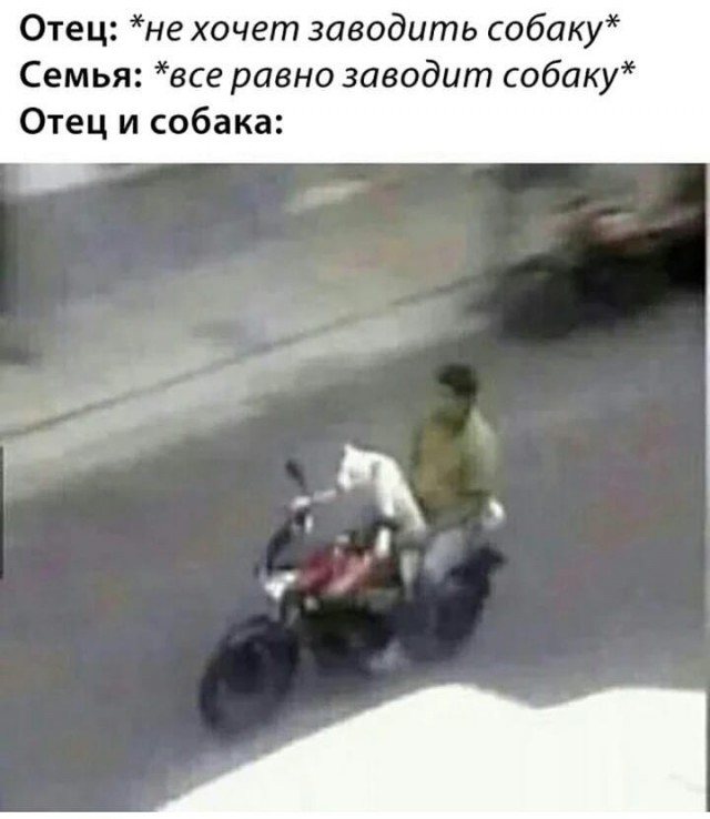 Просто добрые картинки. Всем хорошего дня!