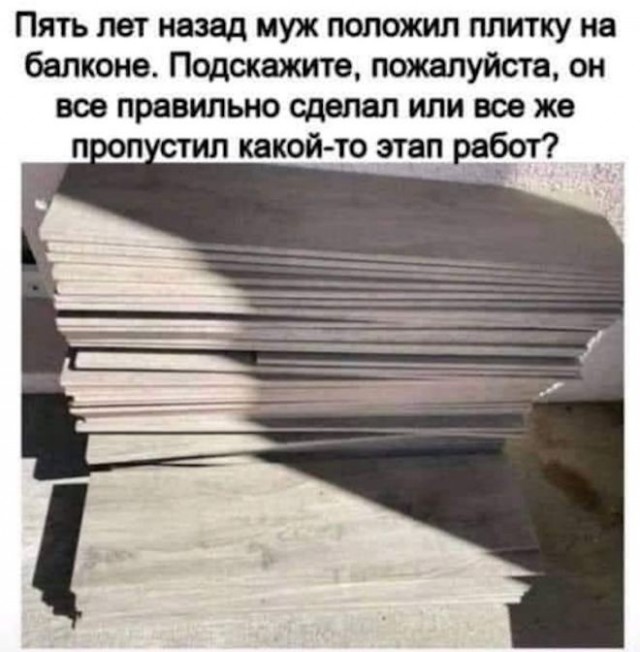 Картинки и мемы для настроения 23.11.2021