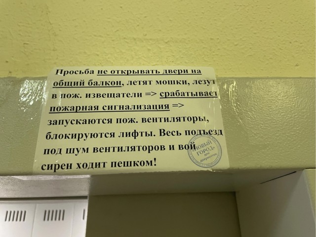 Человек собаке друг и другие картинки под настроение 13.01.2022