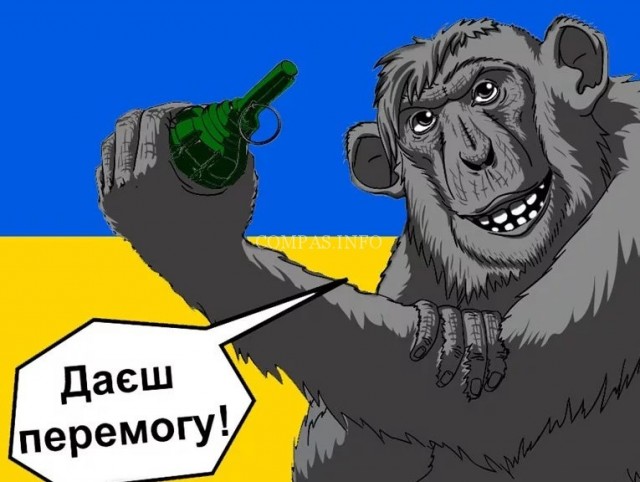 Силы теробороны Украины в приграничных областях уже сегодня получат оружие