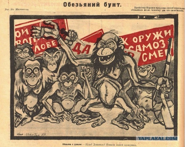 В Грозном - митинг