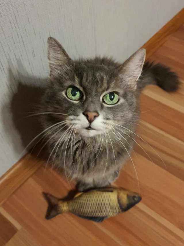 Котовторниковское