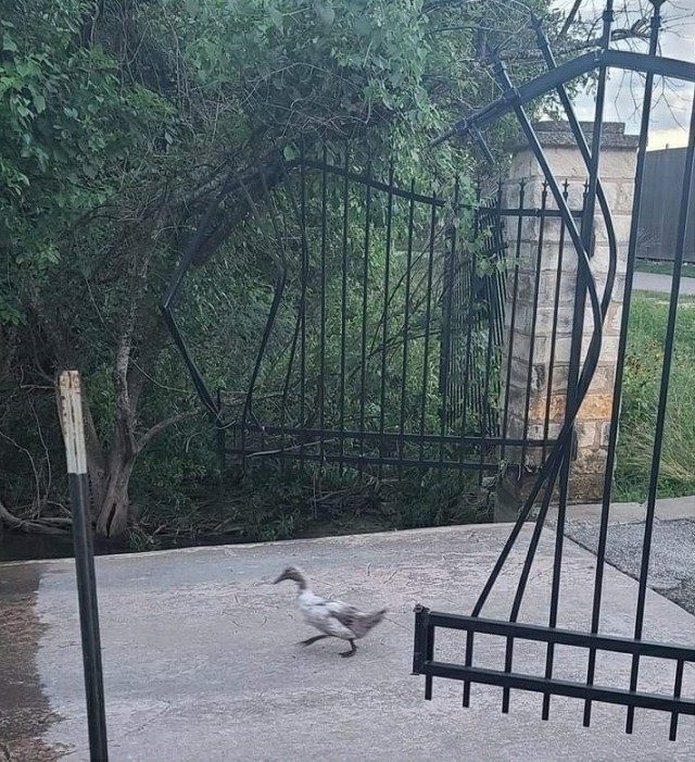 Так себе картинки 01.07.22 Пятница
