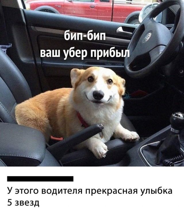 Немного картинок для настроения - 127