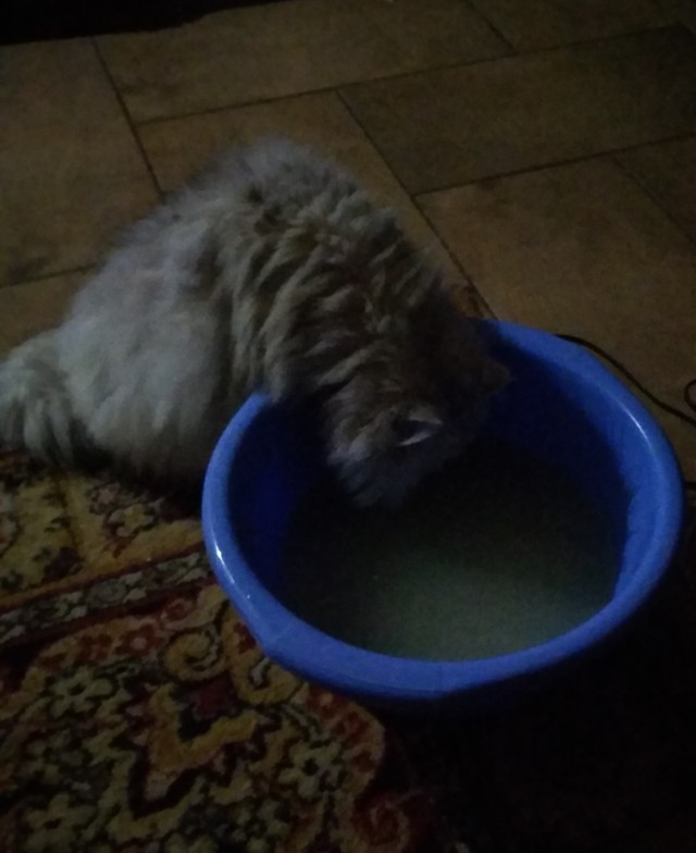 Рыжий наркоман