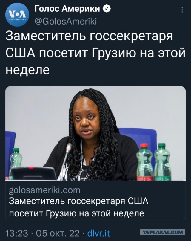 Пандемия съехавших крыш - разновидности болезни. Россия и мир. Часть 43.