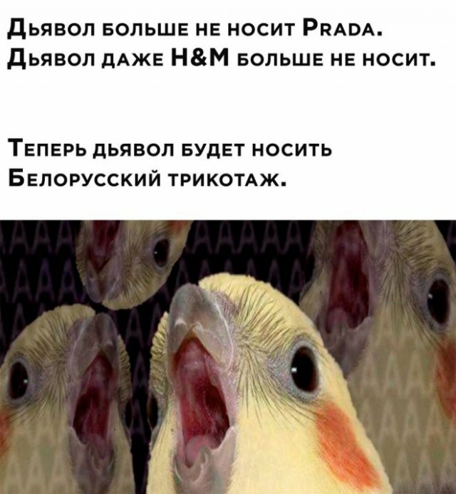 Не бейте баяниста - играет, как может