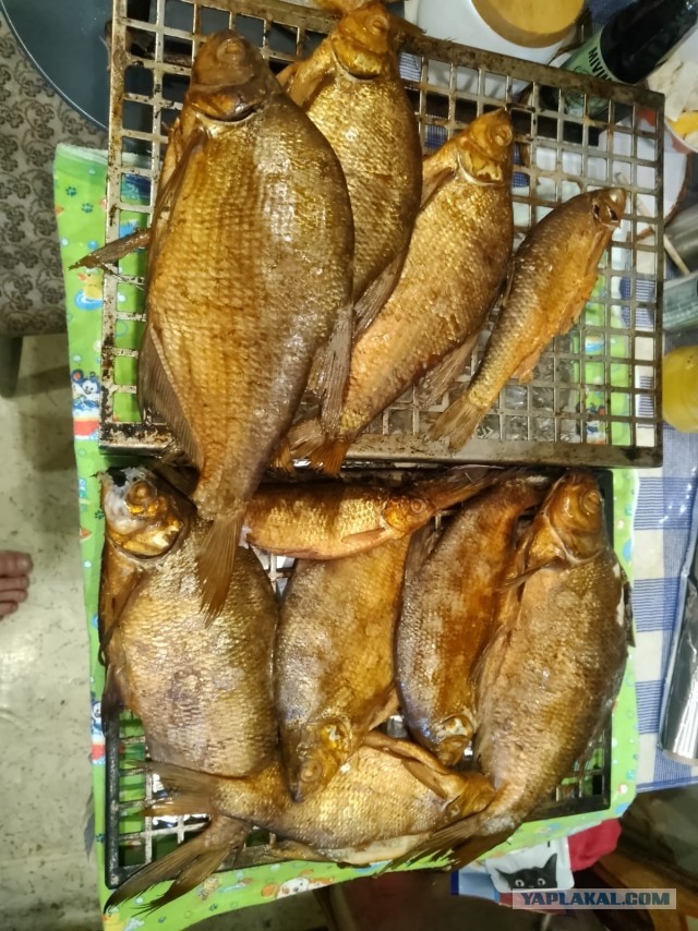 Открытие сезона рыбалки
