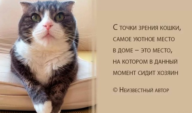 Так себе картинки 08.05.23