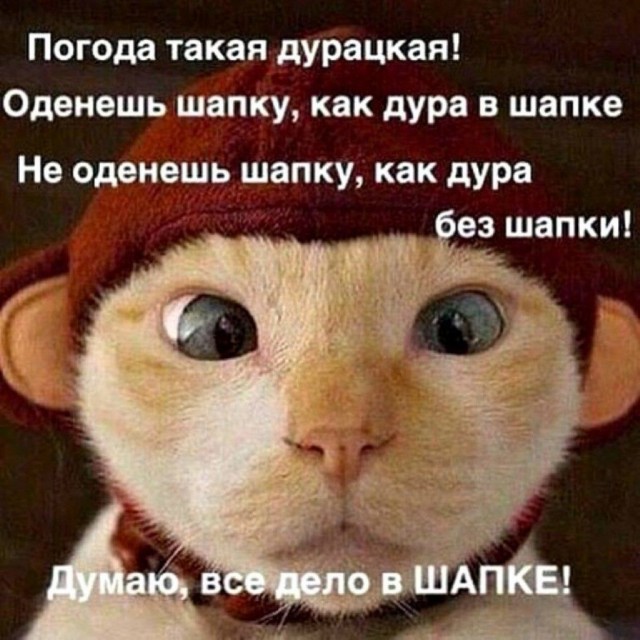 Тринадцатая подборка самых баянистых баянов! Ностальгируем...