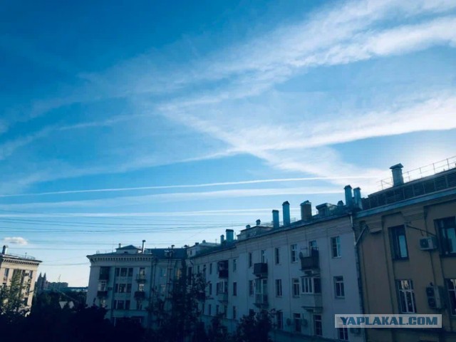 В Сокольниках из-за резкого числа заболевших возобновил работу ковидный госпиталь