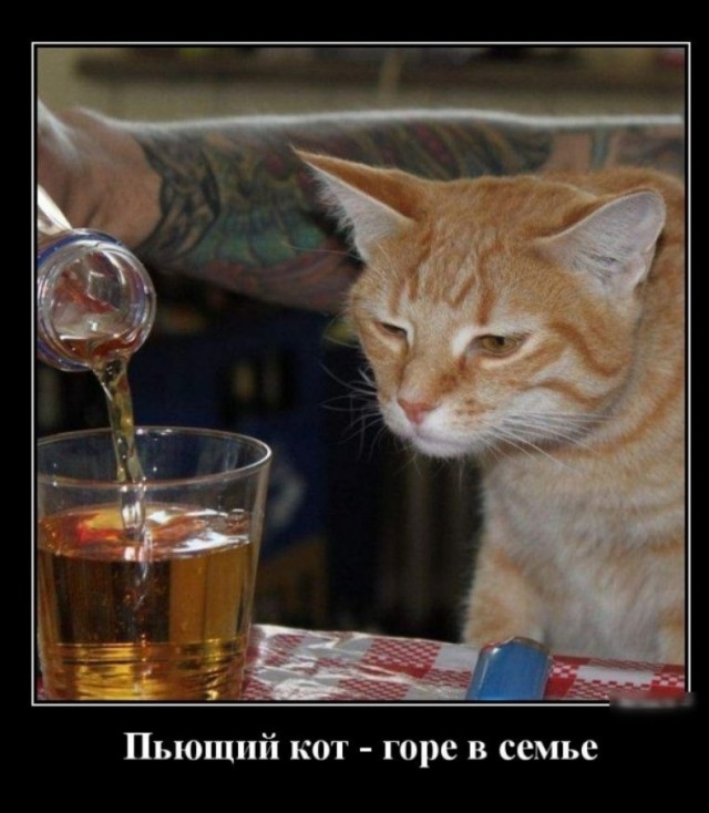 Таинственный клуб "Девять"