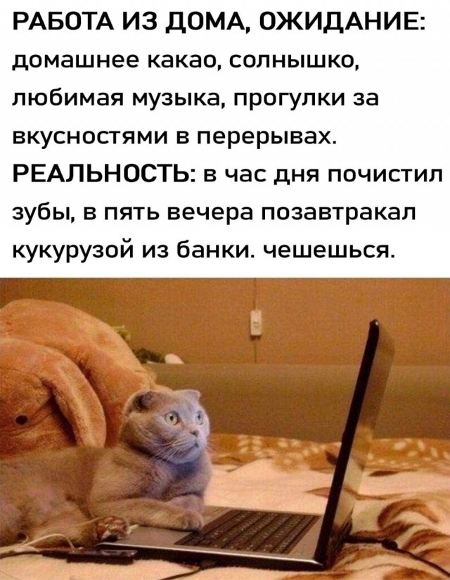 Маленькая пятница.