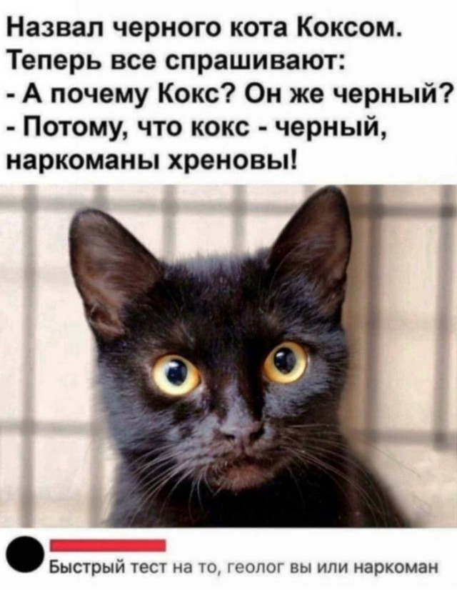 Как король Таиланда Рама IX спас страну от наркомафии «недемократическими методами» и вызвал возмущение у мировой общественности