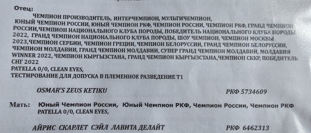 Никаких собак в нашем доме!