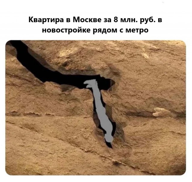 Никакие картинки