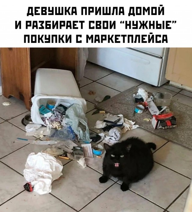 Весёлый полтишок 10.06.24