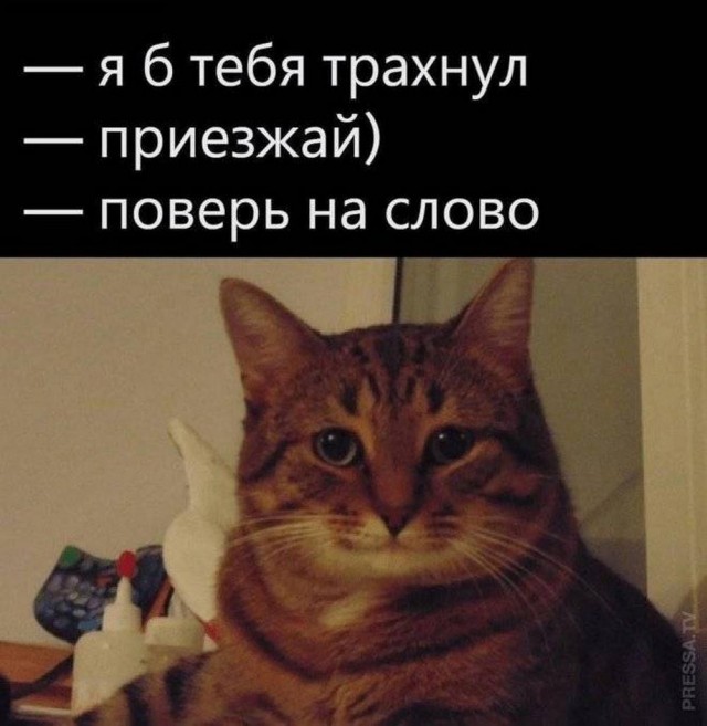 Прикольные и просто красивые картинки 28.06.2024