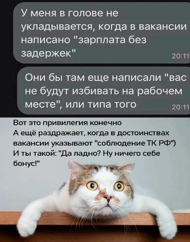 Вот же работнички пошли...⁠⁠