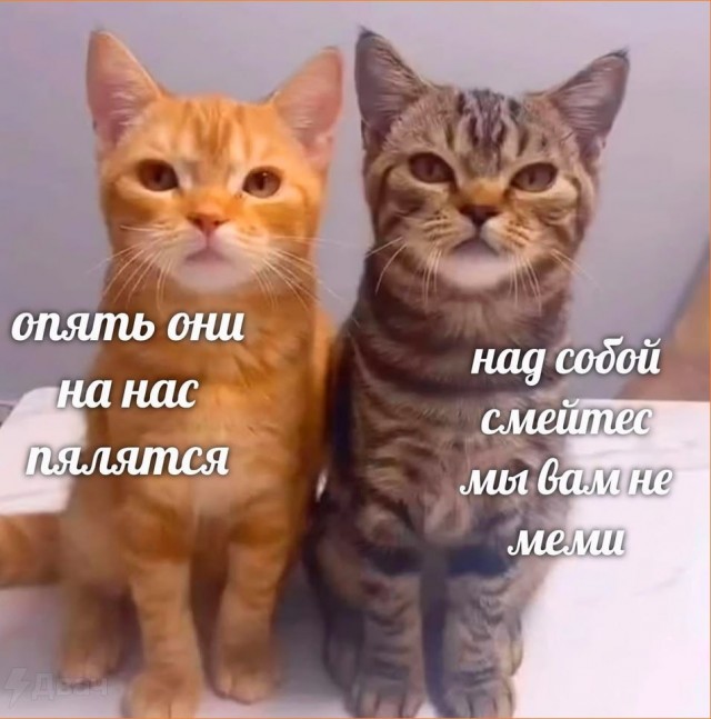 Картинки разные с надписями и без