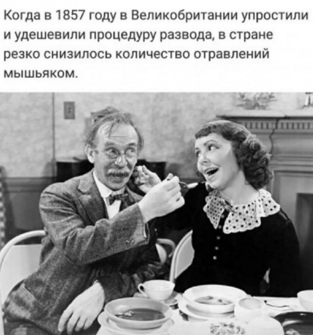 Подборка веселых картинок