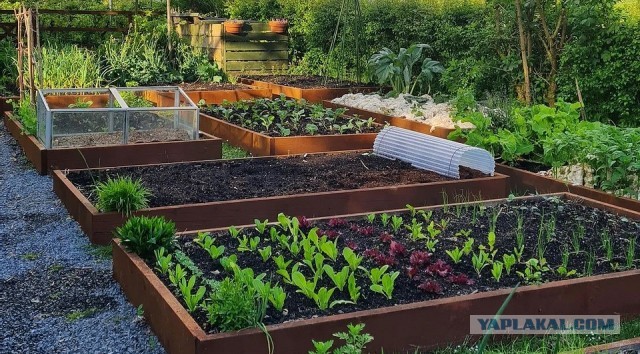 Около дачная тема