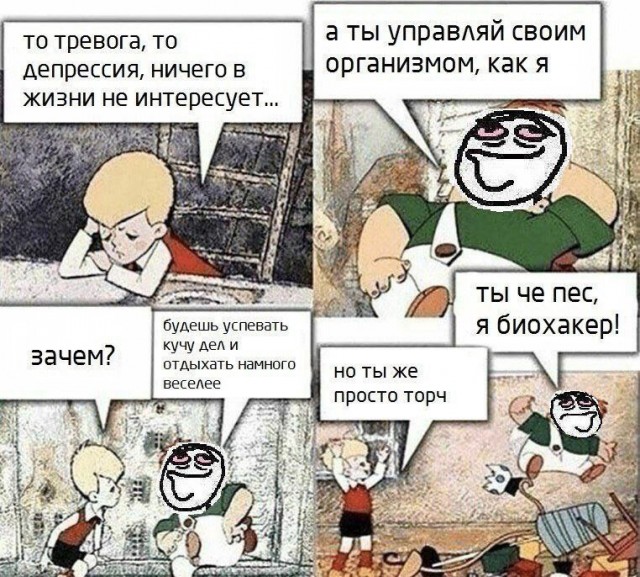 Одна доза психоделических грибов снимает депрессию на 5 лет — исследование