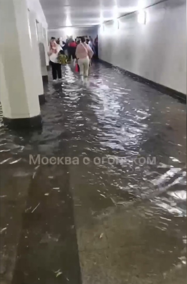 Подборка американской подземки, которая вобрала в себя все прелести свободы и демократии